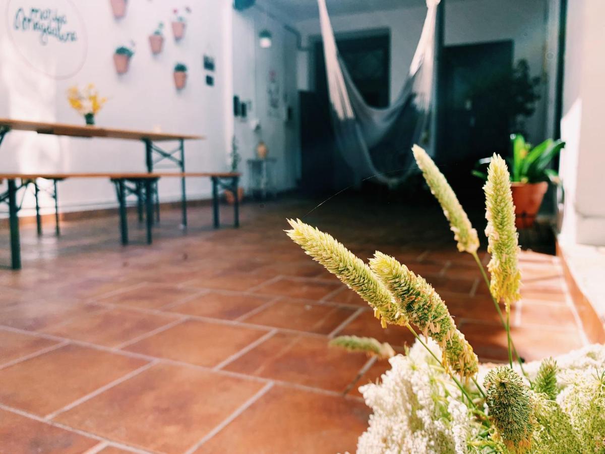 Maria Magdalena - Room 1 มาลากา ภายนอก รูปภาพ